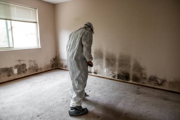 Best Residential Mold Removal  in Double Oak, TX